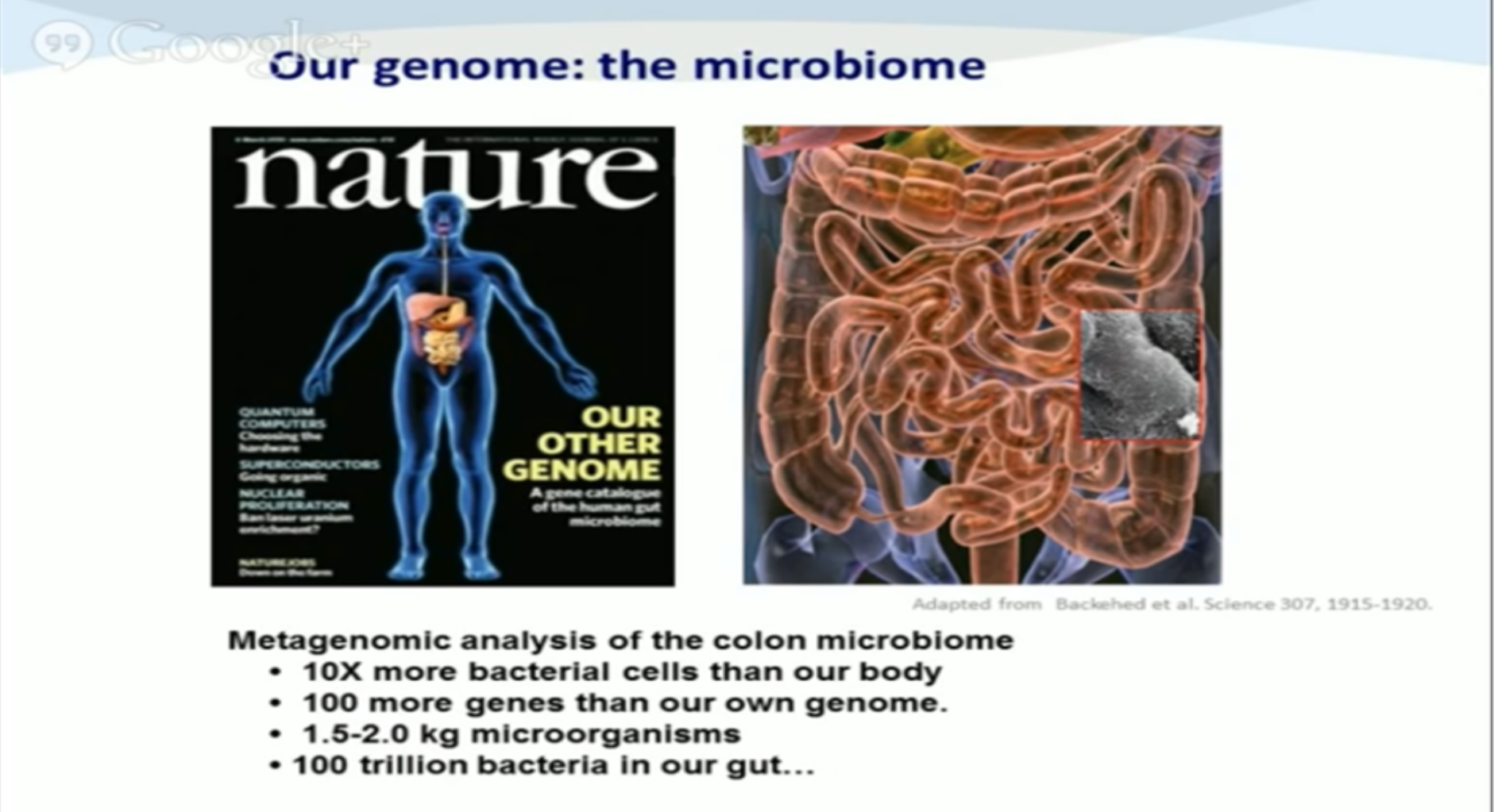 From Symptoms to Strategy—How Gut Testing Transforms Your Health