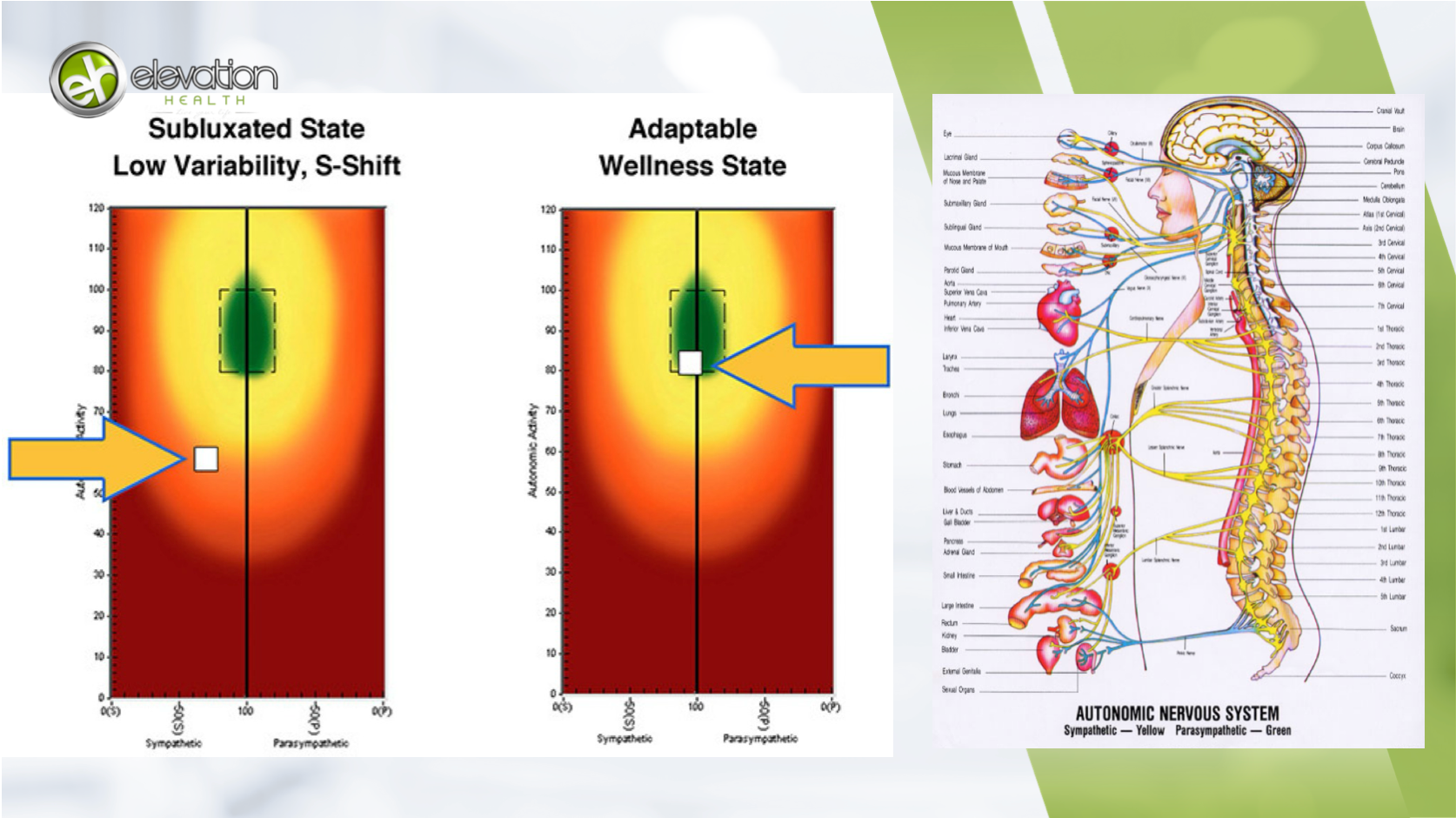 Hormone Testing and Cortisol Balance: Why Sleep, Stress, and Lifestyle ...