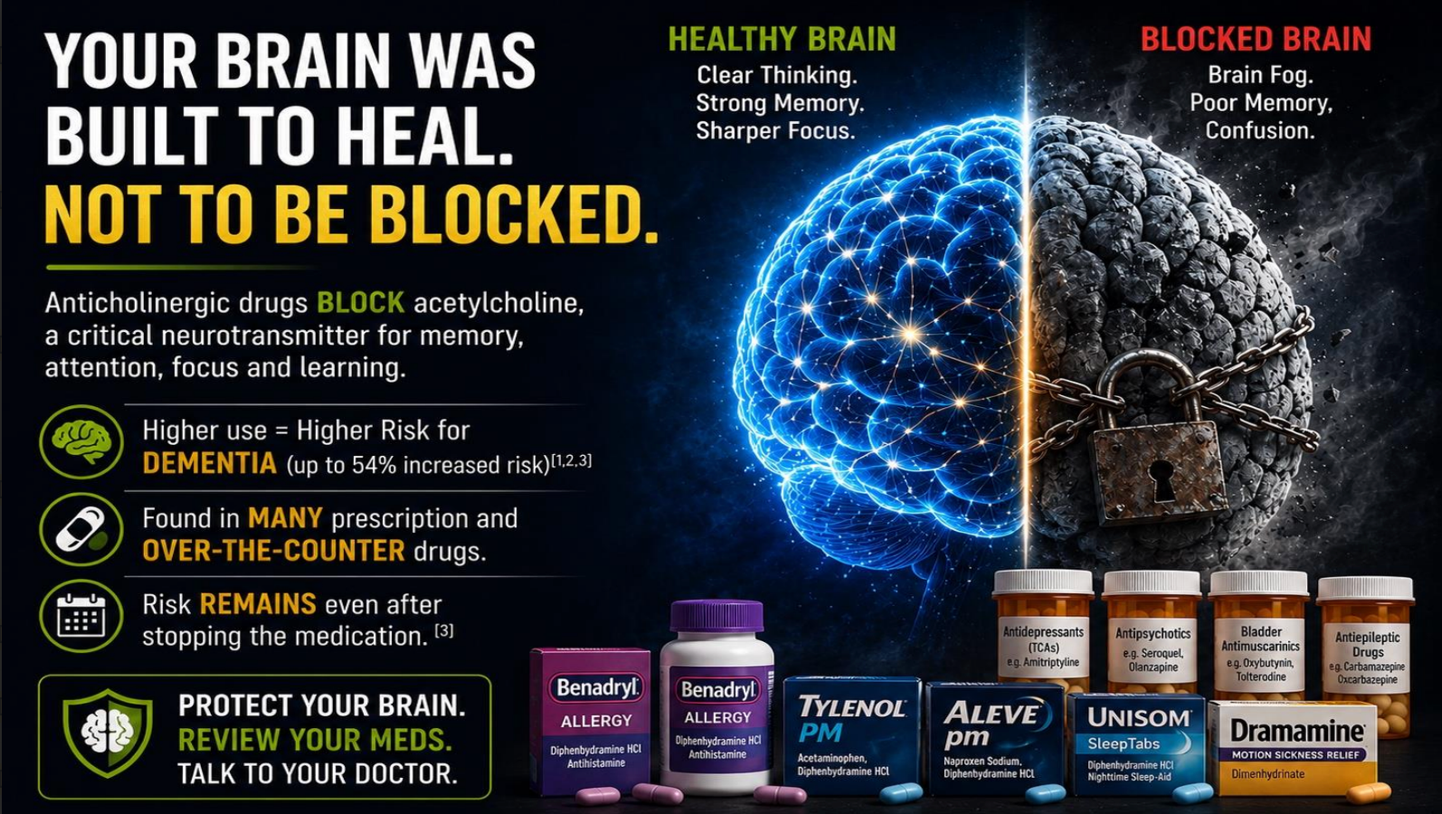 The Gut Brain Connection: How a Healthy Gut Protects Your Brain