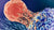 Cancer Prevention Basics: How Lifestyle and the Nervous System Protect Your Health