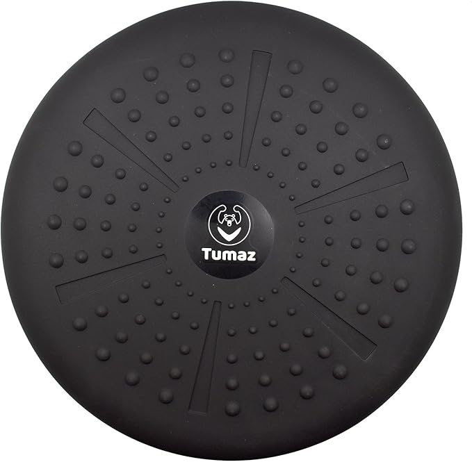 Wobble Cushion