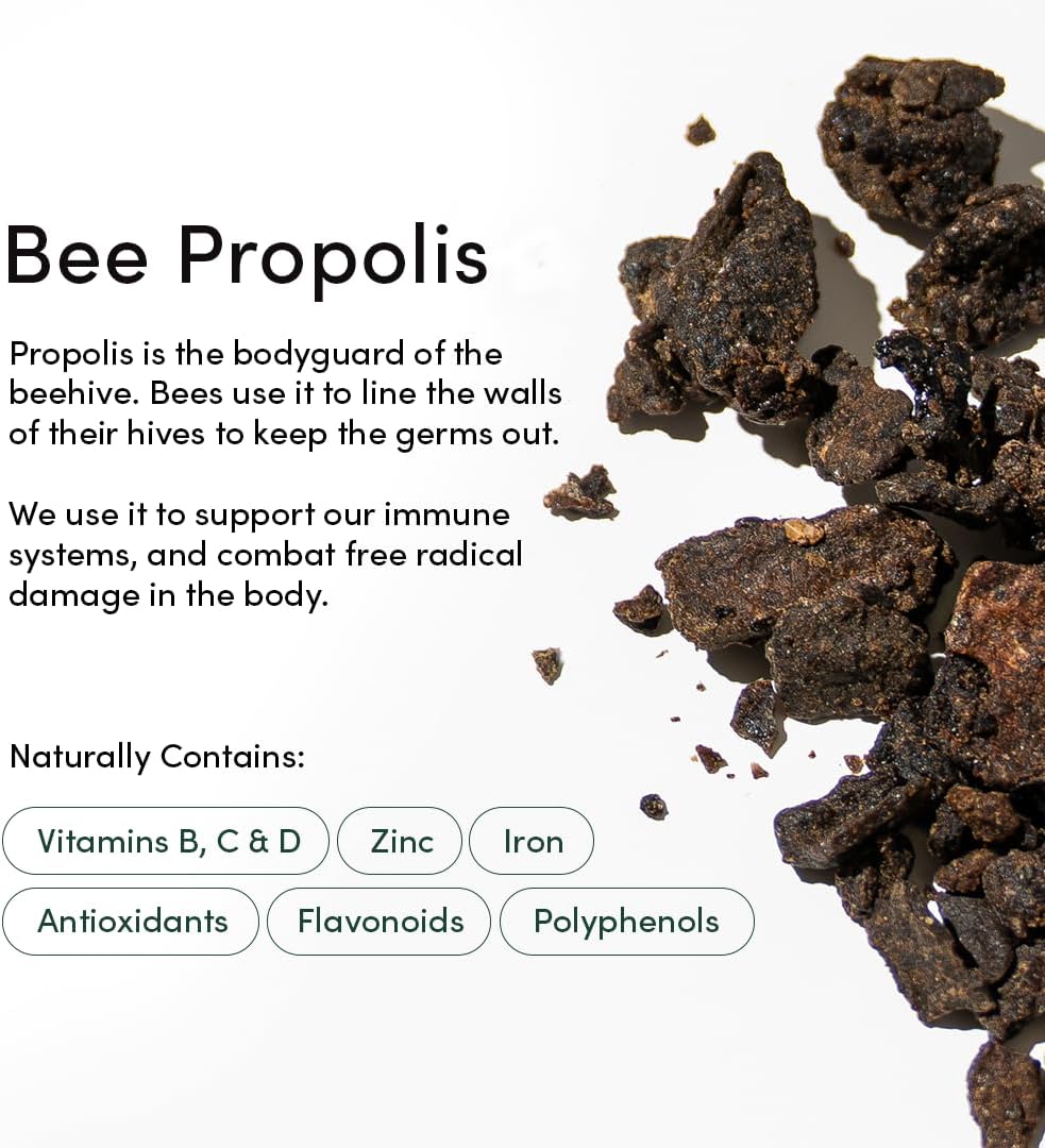 BeeKeeper's Natural Propolis Nasal Spray – 100% Pure Propolis, Natural Nasal Relief 1 fl oz